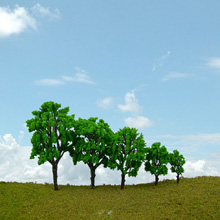 model trees